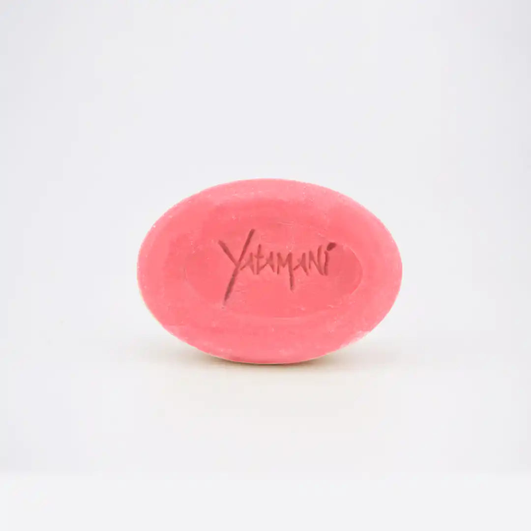 ApShampsol-ChMeches - Yatamani