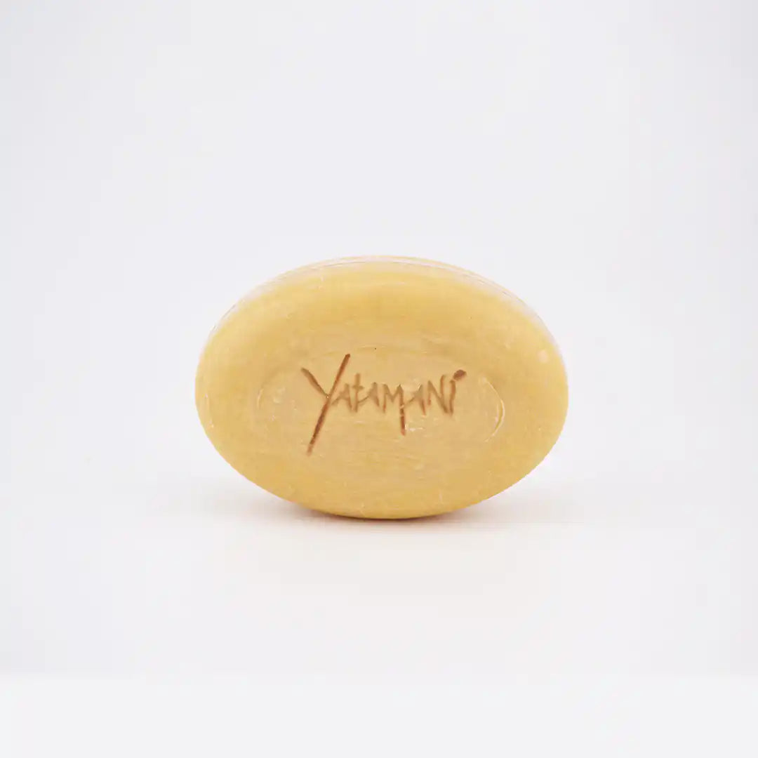 ApShampsol-ChSecs_6b380025-8974-46b8-acaa-2da9cf55e5f7 - Yatamani