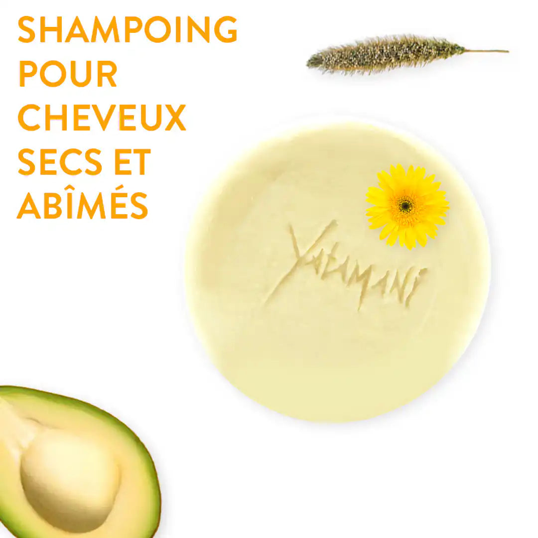 SHAMPOING--cheveux-secs - Yatamani