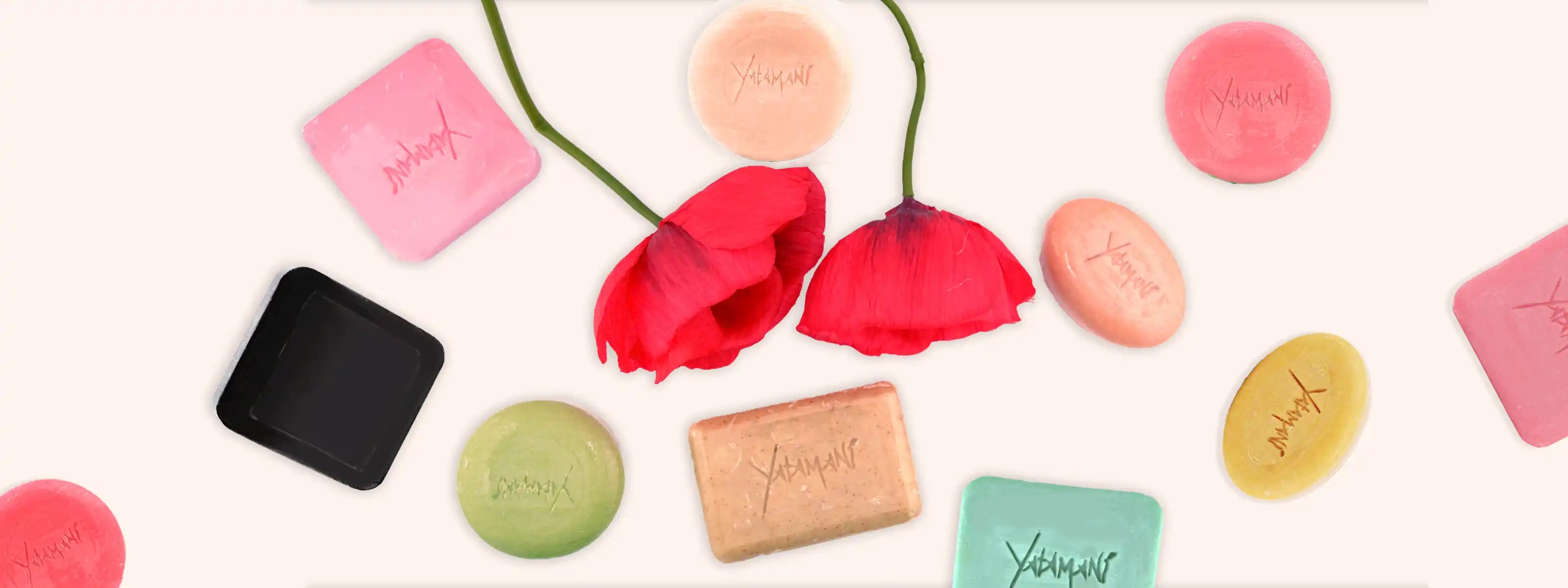 ShopSol_3a03fd26-db59-41ac-a986-b29bd8806a31 - Yatamani