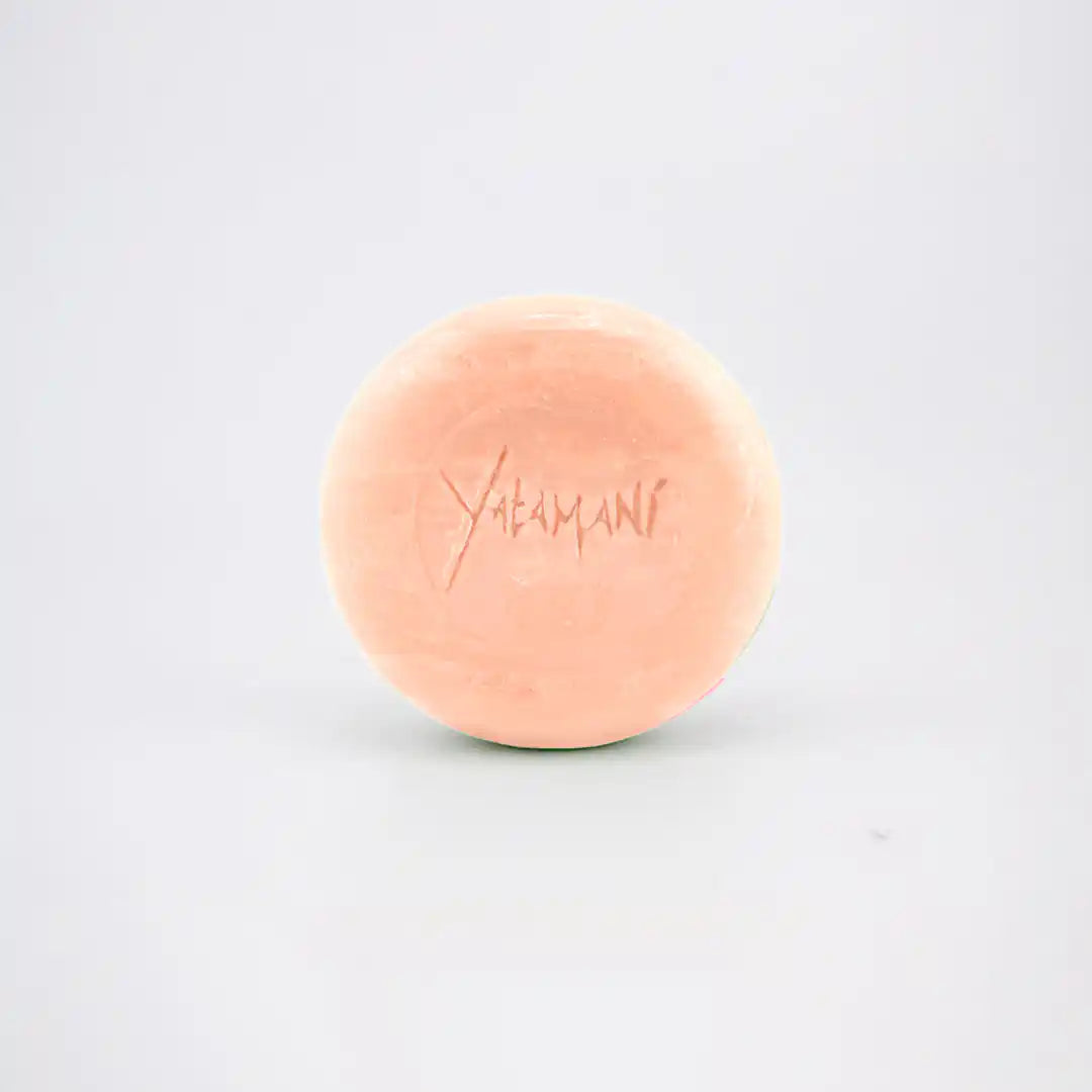 Shampsol-ChFragilises - Yatamani